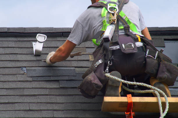 Best Gutter Installation and Repair  in Ciborne, LA